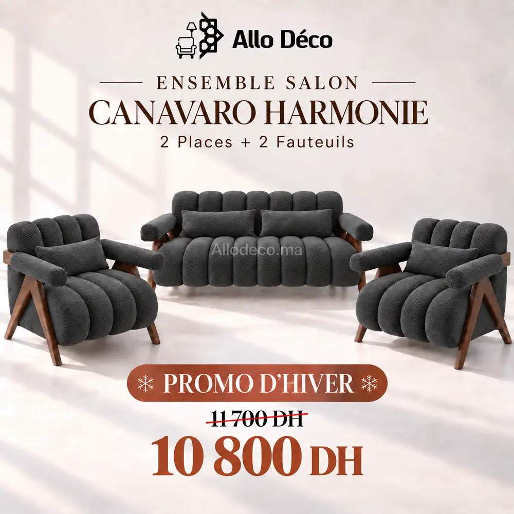 Ensemble Salon CANAVARO Harmonie – 2 Places + 2 Fauteuils