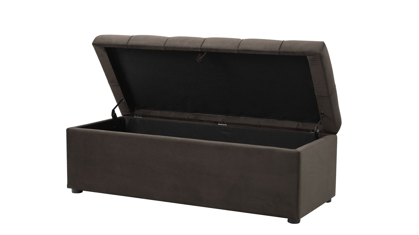 Rangement Pouf Multifonction Banc multicouleur + pouffe Gratuite