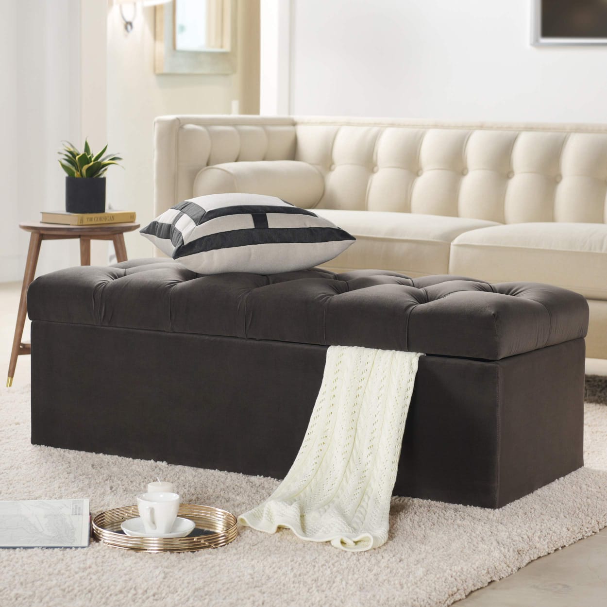 Rangement Pouf Multifonction Banc multicouleur + pouffe Gratuite